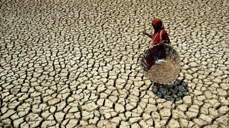 The drought intensified significantly in July and August, affecting most of India. (representative image)